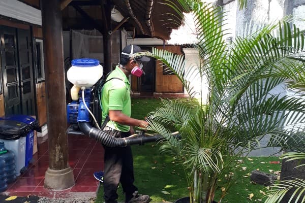 Pest Control