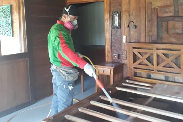 Termite Control